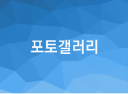 포토갤러리